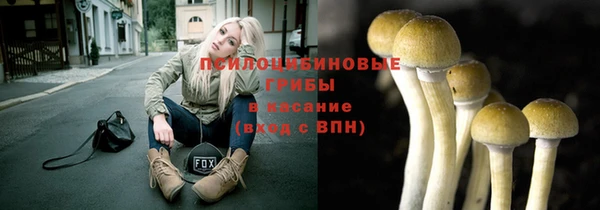 мяу мяу мука Алзамай