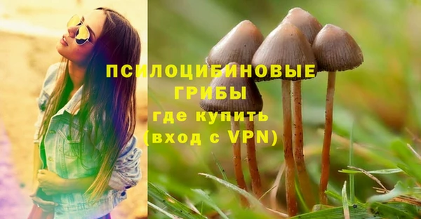шишки Алексин