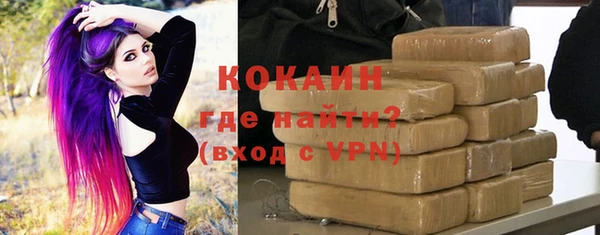 шишки Алексин